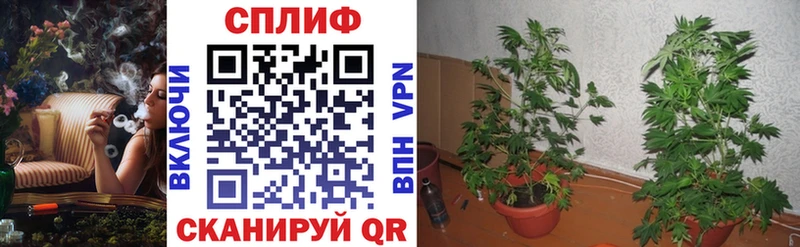 Купить закладку МАРИХУАНА АМФ СК Меф Cocaine Боровичи