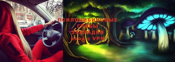 гидра Богородицк