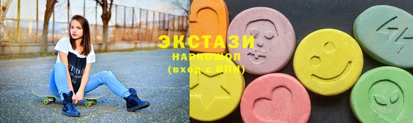 гидра Богородицк