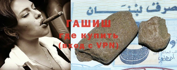 гидра Богородицк