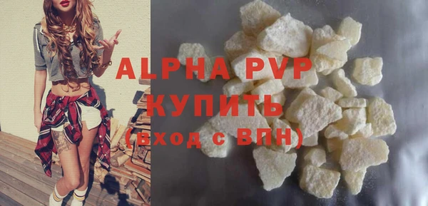 гидра Богородицк