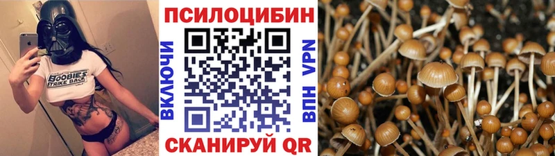 Купить  Боровичи  Галлюциногенные грибы MAGIC MUSHROOMS 